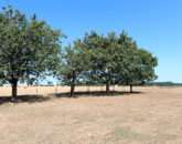 immobilier-immo3000-Muzillac