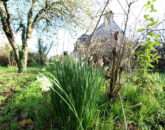 immobilier-muzillac-immo3000-91