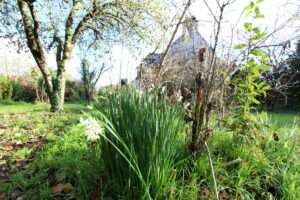 immobilier-muzillac-immo3000