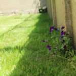 immobilier-muzillac-immo3000