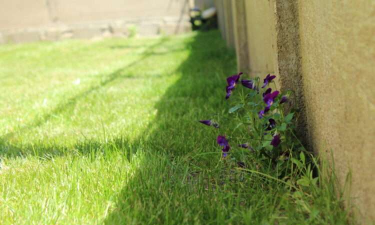 immobilier-muzillac-immo3000