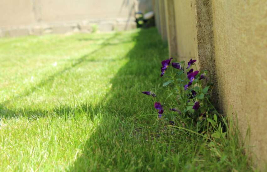 immobilier-muzillac-immo3000