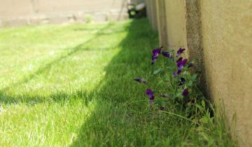 immobilier-muzillac-immo3000