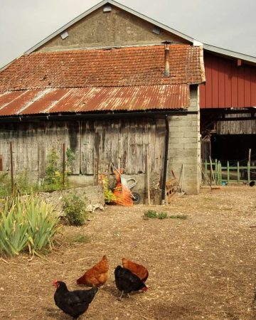 maison anglefort immo3000